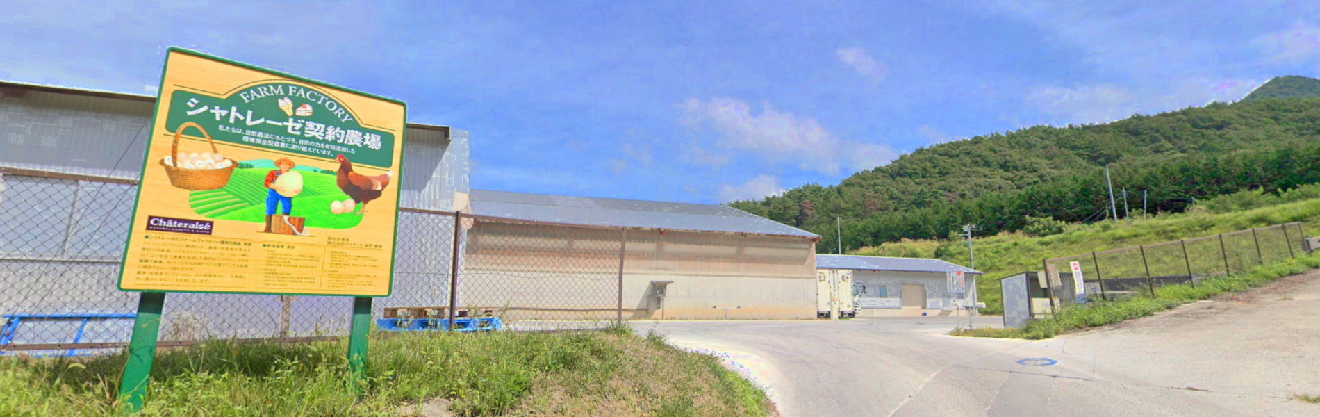 ハイチックトップ画像